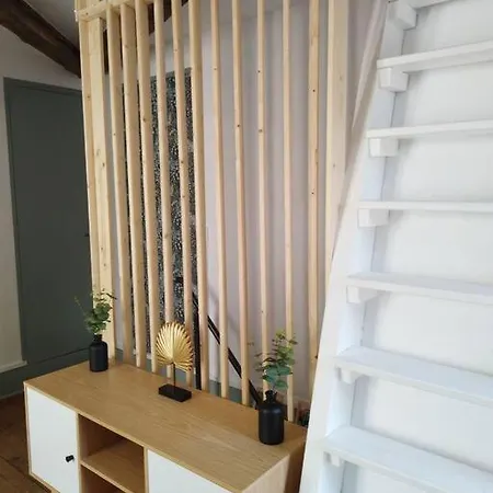L'alisier Du Centre Apartment