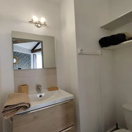 L'alisier Du Centre Apartment